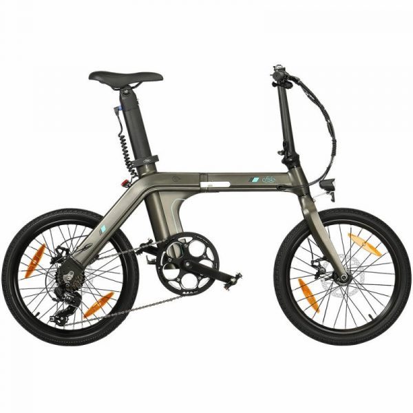 FIIDO D21 250W 36V 11.6Ah Electric Bicycle