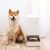 Xiaomi Mijia Smart Automatic Pet Food Dispenser