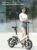 FIIDO D3S Shifting Version 36V 7.8Ah 300W Electric Bike