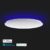 Yeelight Arwen YLXD013-B Smart LED Ceiling